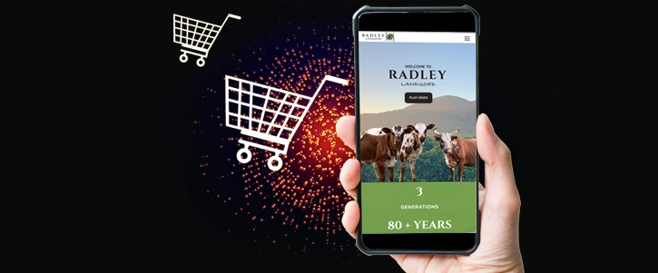 Mobile online store design in Mbombela